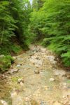 2014-07-05_Laengental-N-Hochweg (222). JPG